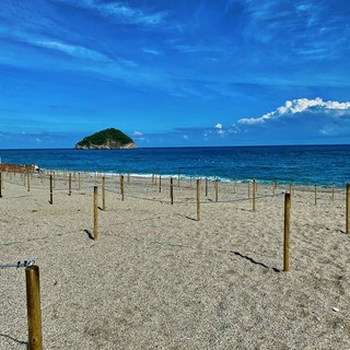 Pud Spotorno, "Rete Liguria — Bene comune" appoggia il sindaco Fiorini: "Esercita la vera democrazia" Pud Spotorno, "Rete Liguria — Bene comune" appoggia il sindaco Fiorini: "Esercita la vera democrazia"