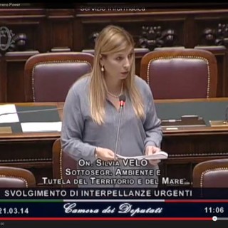 Vado e Quiliano: parla il sottosegretario Velo "l'impatto ambientale interessa tutti"