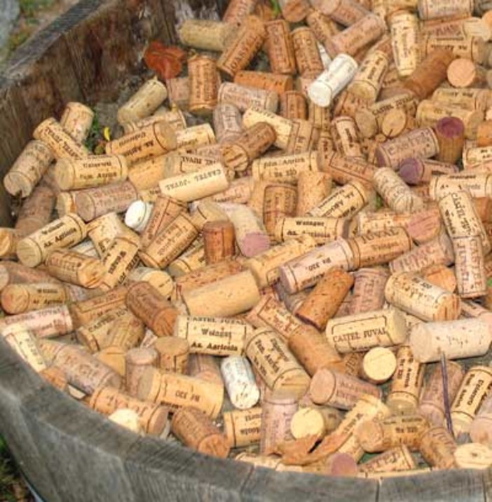 Bergeggi: un'escursione per imparare come si lavora il sughero Bergeggi: un'escursione per imparare come si lavora il sughero