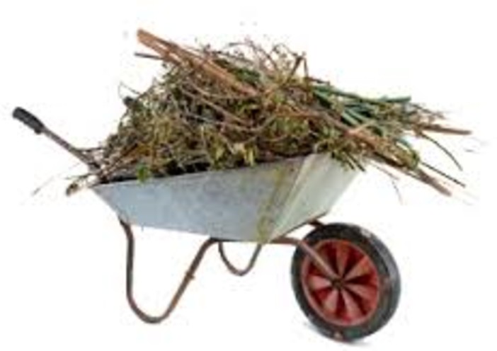 Giustenice: domani giornata della racconta del verde Giustenice: domani giornata della racconta del verde