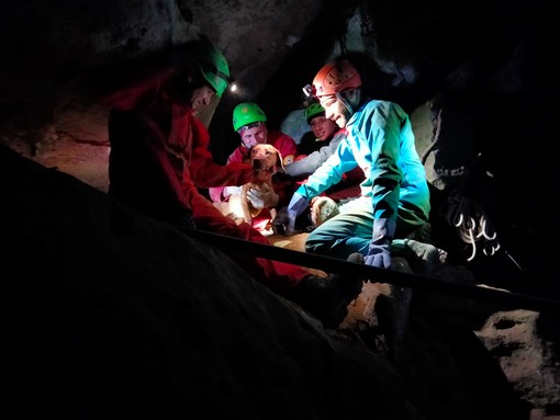 Plodio, cane da caccia cade in una tana profonda dieci metri: Laika salvata dal Soccorso Alpino (FOTO)