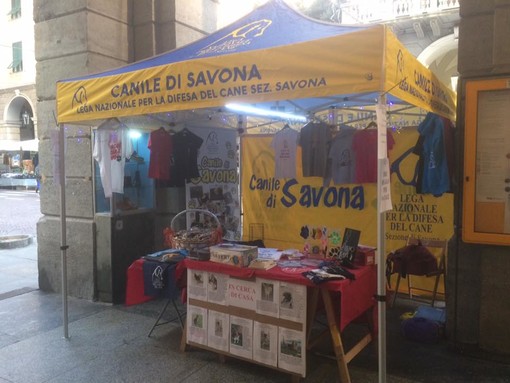 I volontari che gestiscono il canile di Savona presenti con un banchetto alla fiera di Santa Lucia I volontari che gestiscono il canile di Savona presenti con un banchetto alla fiera di Santa Lucia