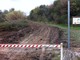 Disboscamento San Bernardino: è scontro tra sportivi, ambientalisti e proprietari dei terreni Disboscamento San Bernardino: è scontro tra sportivi, ambientalisti e proprietari dei terreni