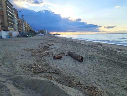 Savona, pulizia delle spiagge libere, Santi: "Interventi in ritardo, sugli arenili ancora il legname delle mareggiate" Savona, pulizia delle spiagge libere, Santi: "Interventi in ritardo, sugli arenili ancora il legname delle mareggiate"