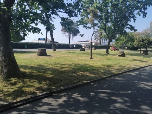 Savona, terminati i lavori di permeabilizzazione dei vialetti di parco "Dante Alighieri" e del prolungamento (FOTO) Savona, terminati i lavori di permeabilizzazione dei vialetti di parco "Dante Alighieri" e del prolungamento (FOTO)