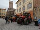 Albenga: festa di Sant'Isidoro, i buoi traineranno la statua del patrono degli agricoltori
