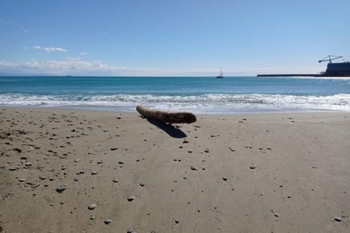 Demolizione fabbricato ex bagni Madonnetta, il Difensore Civico: "Autorità Portuale completi presto il percorso di gara per l'abbattimento e la bonifica"