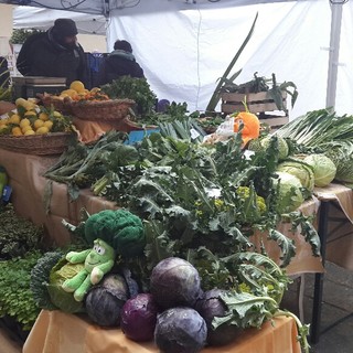 L'Assessore Mai contro l'accordo commerciale tra Ue e Canada: "Si apre a prodotti OGM" L'Assessore Mai contro l'accordo commerciale tra Ue e Canada: "Si apre a prodotti OGM"