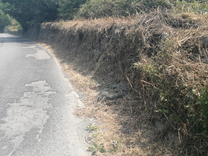 Asfalti nel finalese: la Provincia stanzia 365mila euro per la messa in sicurezza su Sp27 e Sp490