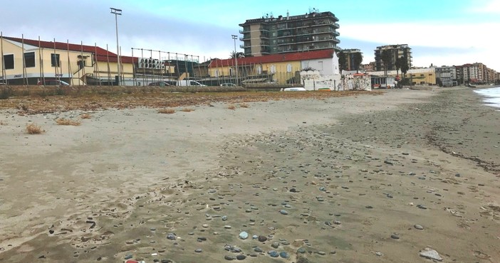 Savona, spiaggia per i crocieristi sotto il Priamar, contraria l'Enpa: "Si allontana l'idea dell'area dog friendly"