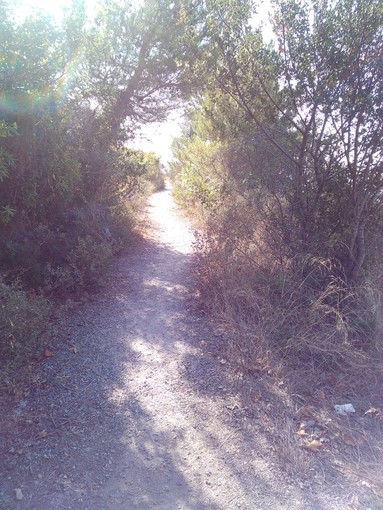 Nascerà una "Commissione sentieri" a Finale? Il parere dell'amministrazione (VIDEOINTERVISTA)