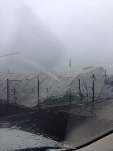 Agricoltura di nuovo in ginocchio in Provincia di Savona