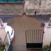 Sversamento fogna in via Piave ad Albisola, disperato un abitante: "Quando piove non riusciamo ad uscire di casa, non sappiamo più cosa fare" (FOTO e VIDEO) Sversamento fogna in via Piave ad Albisola, disperato un abitante: "Quando piove non riusciamo ad uscire di casa, non sappiamo più cosa fare" (FOTO e VIDEO)