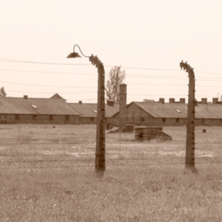 Finale : "Memorie - in viaggio verso Auschwitz"