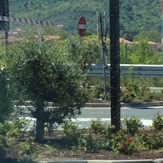 Sciame di api al parcheggio del casello di Albenga, interviene un apicoltore