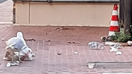 Porta a Porta a Savona, una lettrice: &quot;Sempre più indignata di come la città stia diventando una discarica&quot;