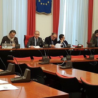 "The Day After", continua la discussione sui fondi per il risarcimento dei danni agricoli, Vazio: "Colpa del Mago Zurlì?"
