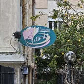 "Sotto il" cambia proprietà, ma non il cuore, Leopoldo Barruchello: "Difficile dire addio, ma il locale è in ottime mani" "Sotto il" cambia proprietà, ma non il cuore, Leopoldo Barruchello: "Difficile dire addio, ma il locale è in ottime mani"