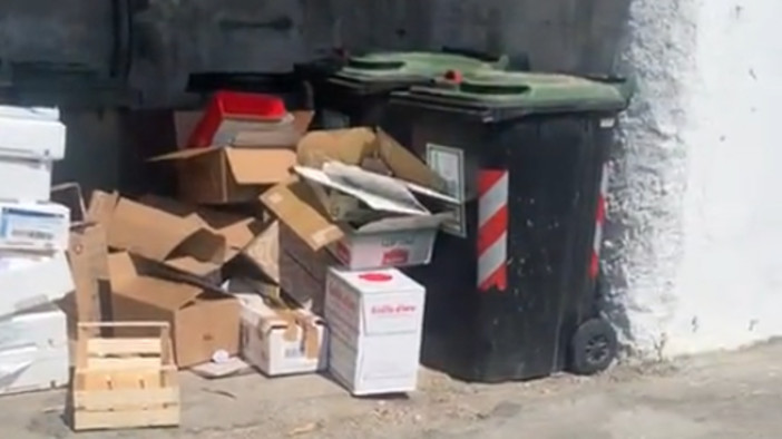 Sporcizia vicino alle spiagge a Spotorno: "In alcuni tratti sembra una discarica" Sporcizia vicino alle spiagge a Spotorno: "In alcuni tratti sembra una discarica"