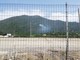 Albenga: fulmine colpisce un albero e genera un incendio boschivo