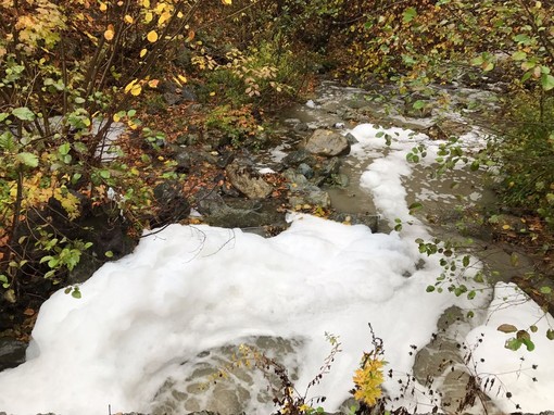 Cairo, schiuma bianca nel rio Loppa (FOTO e VIDEO)