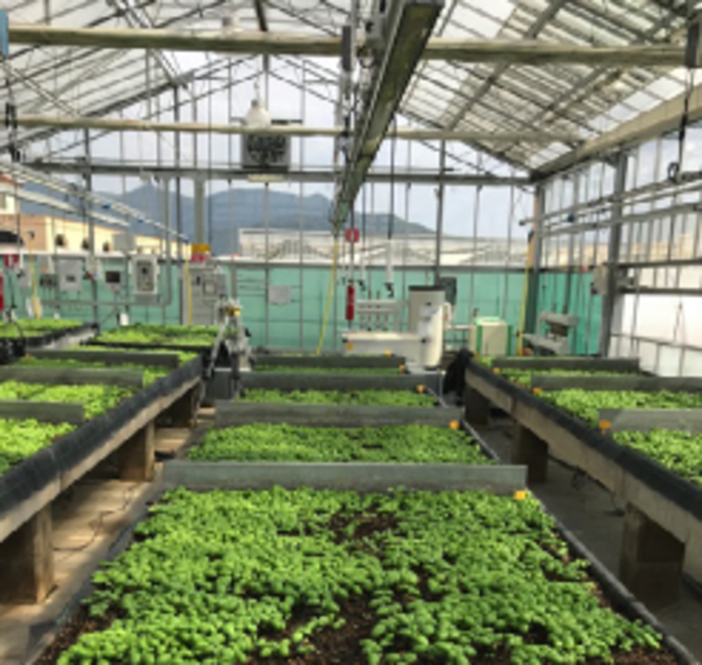 Controllo e gestione dell’efficienza energetica nelle colture protette “Serre Smart” Controllo e gestione dell’efficienza energetica nelle colture protette “Serre Smart”