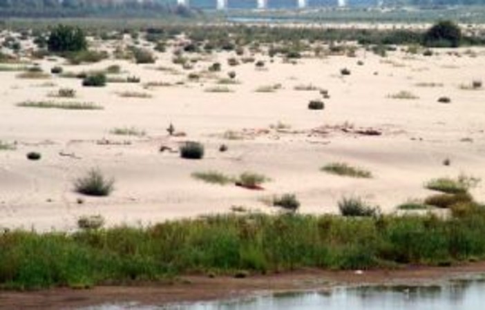 Richiesto stato di calamità per siccità della scorsa primavera ed estate