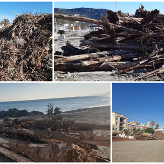 Pietra Ligure, accumuli di legname sulle spiagge:  in corso l'intervento di pulizia (FOTO)