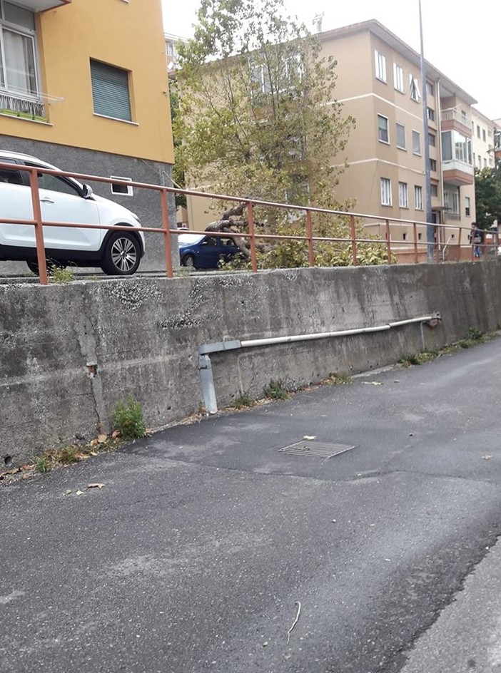 Foto pubblicata sulla pagina Facebook "Savona E'" Foto pubblicata sulla pagina Facebook "Savona E'"