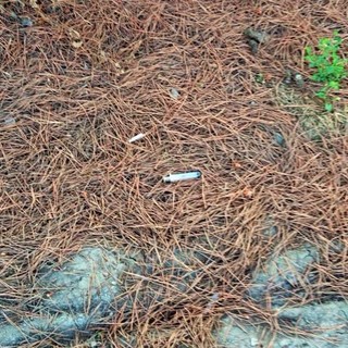 Albenga: l'appello di Ciangherotti "Non abbandonate le siringhe sul territorio"