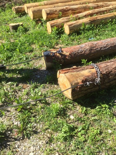 Scuola forestale ad Ormea per gli studenti del progetto “Erasmus plus-forest4life”