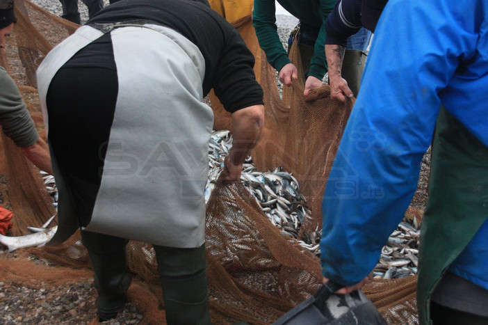 Pesca a strascico, la Liguria chiede un piano per il 2026: "Serve assicurare continuità produttiva e stabilità al comparto" Pesca a strascico, la Liguria chiede un piano per il 2026: "Serve assicurare continuità produttiva e stabilità al comparto"