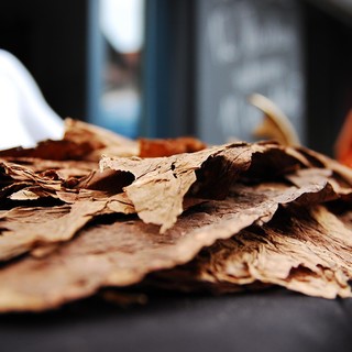 I Sacchetti di Nicotina Arrivano in Italia. Cosa sono e quali sono i rischi