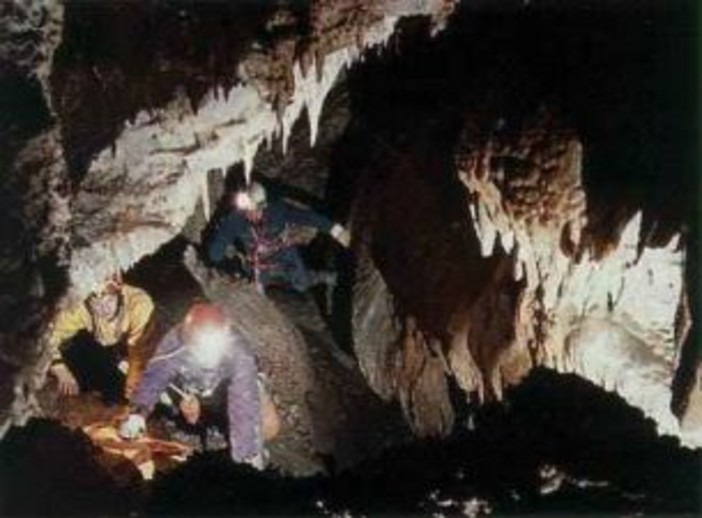 immagine di repertorio immagine di repertorio