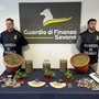 Arrestato pusher 47enne: in casa oltre 3 kg di marijuana e una coltivazione di piantine. Riforniva la piazza di Savona Arrestato pusher 47enne: in casa oltre 3 kg di marijuana e una coltivazione di piantine. Riforniva la piazza di Savona