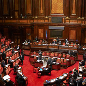 "Prodotti a latte crudo: Parlamento e Governo non possono più restare fermi": in Senato l'iniziativa che chiede lo sblocco dell'obbligo di etichettatura "Prodotti a latte crudo: Parlamento e Governo non possono più restare fermi": in Senato l'iniziativa che chiede lo sblocco dell'obbligo di etichettatura