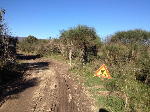 Disboscamento a San Bernardino: FinaleOutdoor Resort vuole vederci chiaro