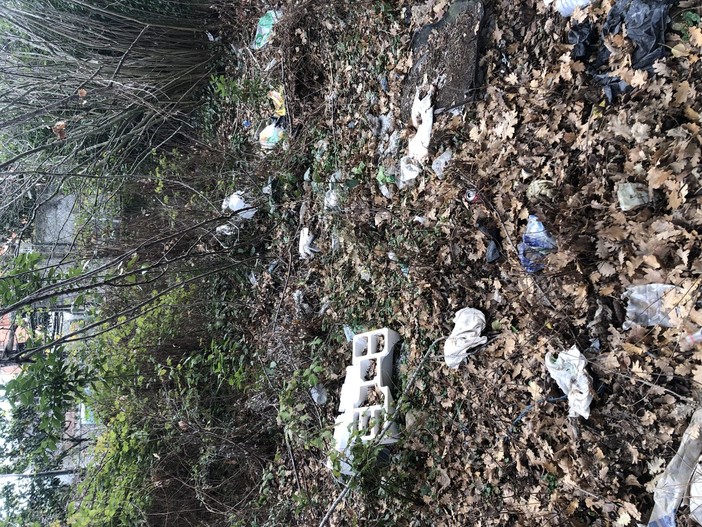 Albenga, sporcizia in via Treves a San Fedele. Tomatis (FdI): "Area trasformata in discarica, urge bonifica" Albenga, sporcizia in via Treves a San Fedele. Tomatis (FdI): "Area trasformata in discarica, urge bonifica"