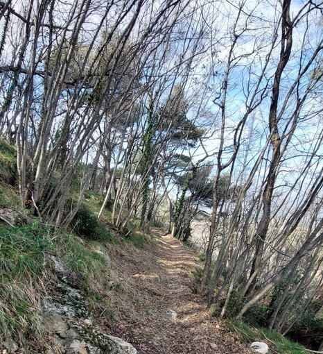 Andora, entroterra e costa sempre più connesse: ripristinato il sentiero panoramico Conna-Borgo Rollo