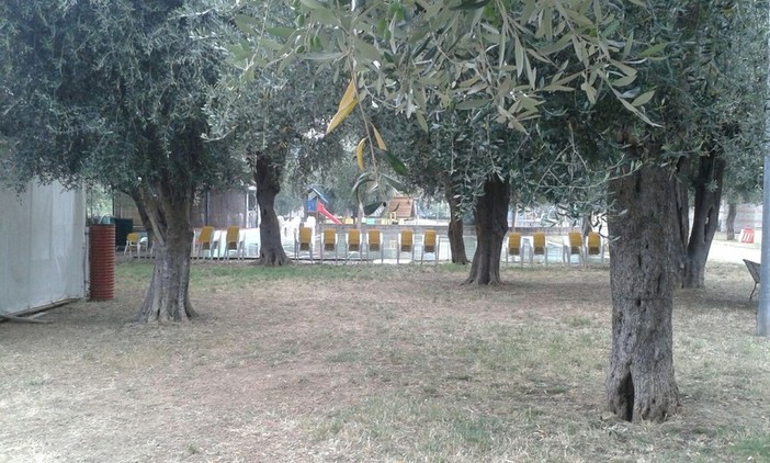 Albisola, alla sagra di Luceto una cena per riunire gli ultranovantenni