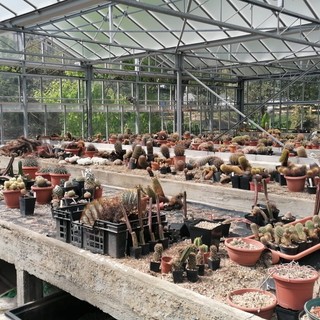 Savona, il Comune approva tre nuovi patti di collaborazione con associazioni e cittadini tra arte pubblica, doposcuola e rigenerazione urbana