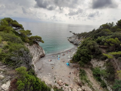 Bergeggi, individuato l'autore del lancio del cassonetto sulla spiaggia: è un 17enne (FOTO e VIDEO) Bergeggi, individuato l'autore del lancio del cassonetto sulla spiaggia: è un 17enne (FOTO e VIDEO)