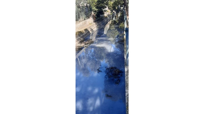 Albenga, verifiche sul rio Avarenna: non rilevate acque fognarie Albenga, verifiche sul rio Avarenna: non rilevate acque fognarie