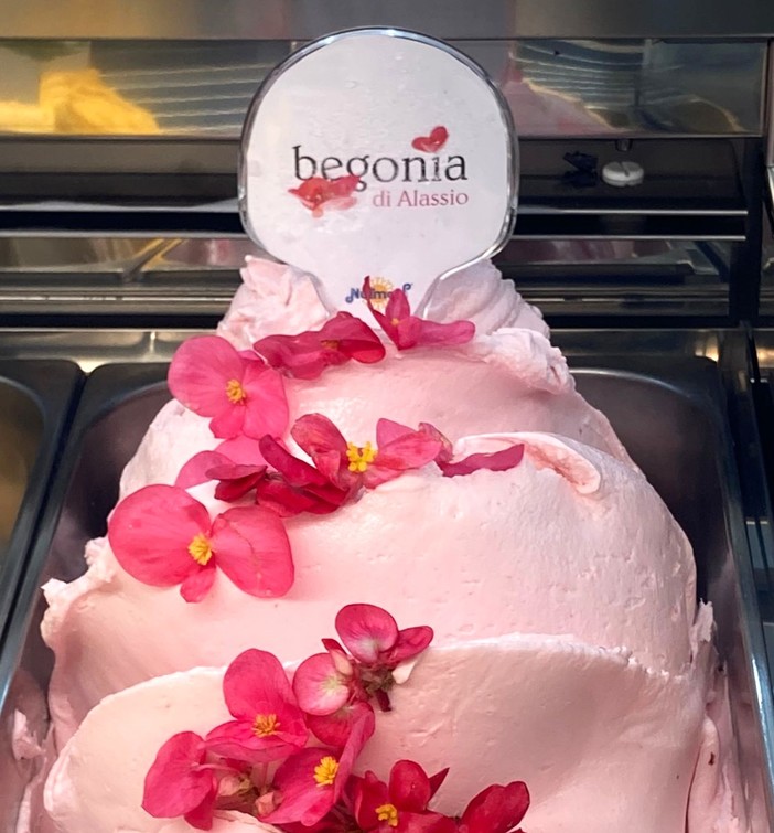 "Begonia di Alassio”, un gelato pronto a conquistare i mercati internazionali