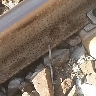 Savona, trovate delle siringhe sui binari della stazione di Mongrifone Savona, trovate delle siringhe sui binari della stazione di Mongrifone