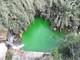 Toirano, le acque del Varatella diventano verdi: accertamenti in corso (FOTO)