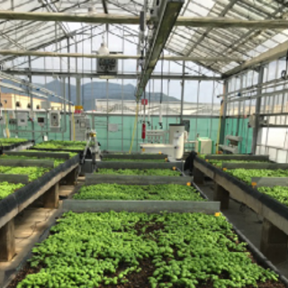 Controllo e gestione dell’efficienza energetica nelle colture protette “Serre Smart”