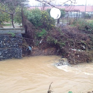L'agricoltura del Ponente ligure in ginocchio a causa del maltempo: oggi Tavolo Verde in Regione