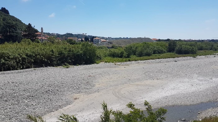 Albisola, avvistato un boa nel greto del Sansobbia: la segnalazione di un cittadino
