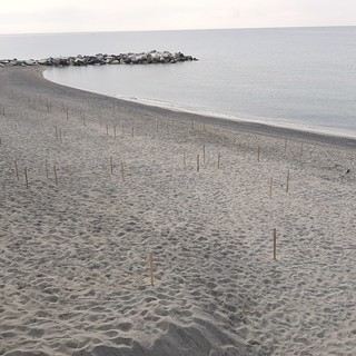Celle, riaprono le spiagge libere ai Piani e a Punta Aspera ma rimangono chiuse alle foce del Ghiare e San Bastian